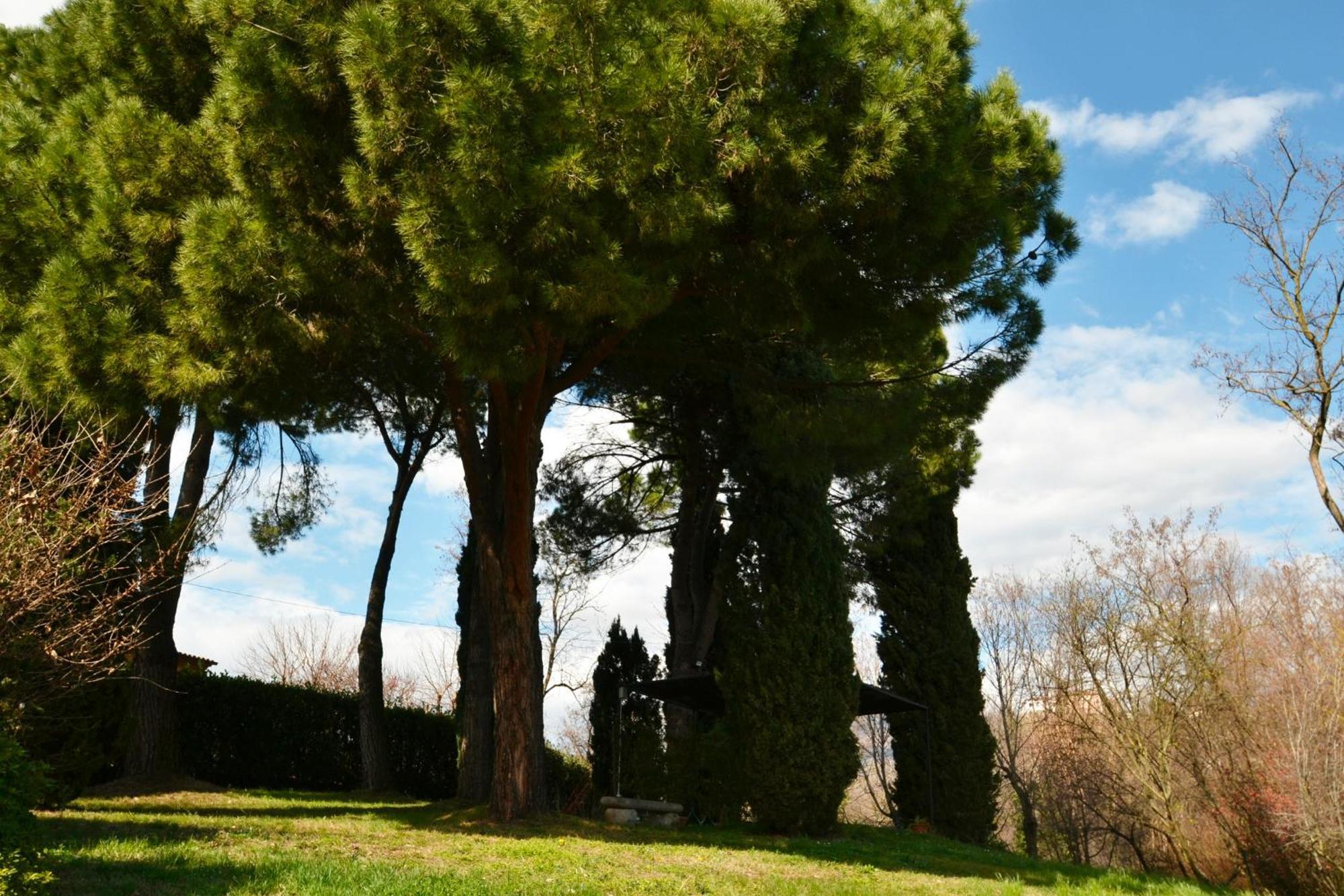 La Collina Delle Acacie Bed & Breakfast Grumolo Pedemonte Exterior photo